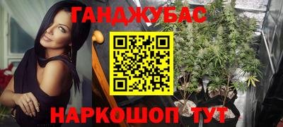 шишки Партизанск