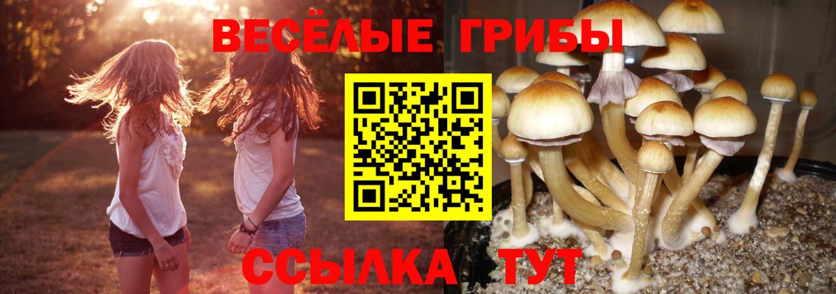 Советская Гавань  Галлюциногенные грибы ЛСД  Псилоцибиновые грибы мухоморы  наркотики  Вход с VPN 